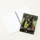 Giraffe - Notebook Notizblock (Innenseite)