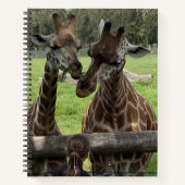 Giraffe - Notebook Notizblock (Vorderseite)