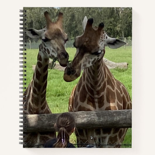 Giraffe - Notebook Notizblock (Vorderseite)