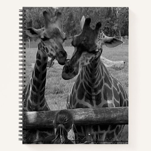 Giraffe - Notebook Notizblock (Vorderseite)
