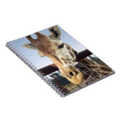 Giraffe Notizblock (Rechte Seite)