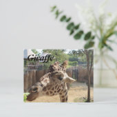 Giraffe Nr. 4 Postkarte (Stehend Vorderseite)