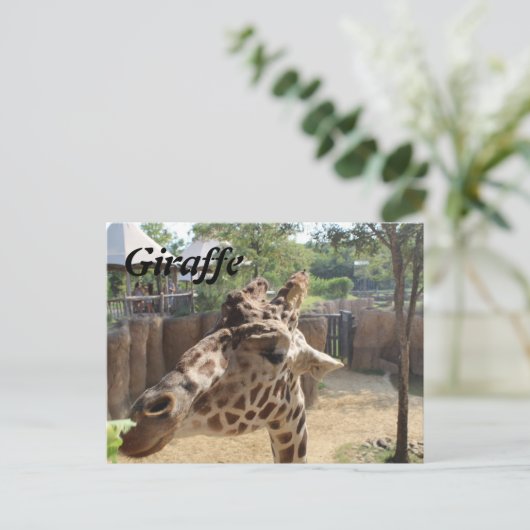 Giraffe Nr. 4 Postkarte (Stehend Vorderseite)