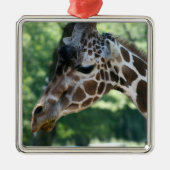 Giraffe Ornament (Vorne)