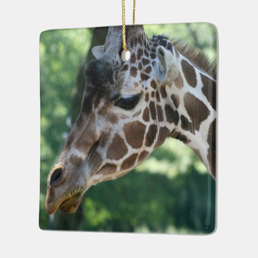 Giraffe Ornament (Links)