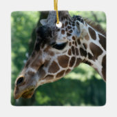 Giraffe Ornament (Vorderseite)