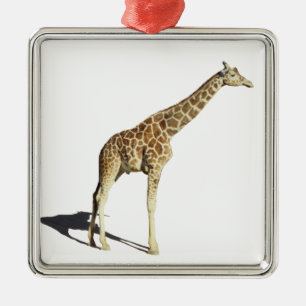 Giraffe Ornament Aus Metall