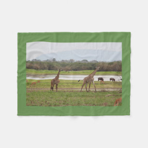 Giraffe paart niedliches personifizieren der fleecedecke
