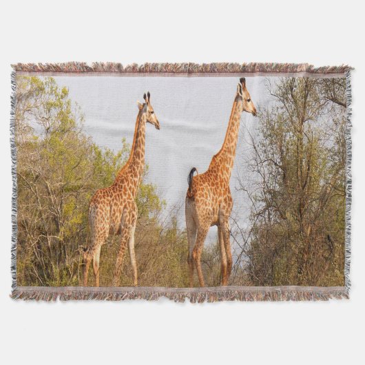 Giraffe Pair Decke (Vorderseite)