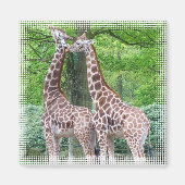Giraffe Pair Square Magnet (Vorne)