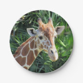 Giraffe-Papierplatte Pappteller (Vorderseite)