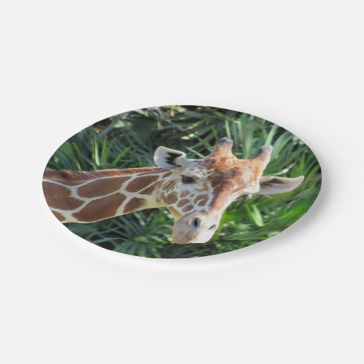 Giraffe-Papierplatte Pappteller (Schrägansicht)