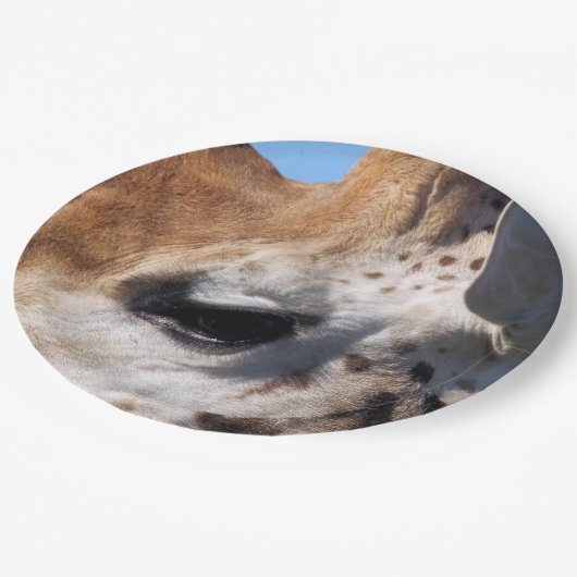 GIRAFFE PAPPTELLER (Schrägansicht)