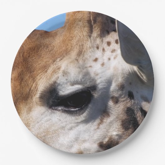 GIRAFFE PAPPTELLER (Vorderseite)