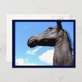 Giraffe Pferdepostkarten Postkarte (Vorne/Hinten)