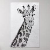 Giraffe Portrait Bleistift Sketch Zeichnend Kunstd Poster (Vorne)
