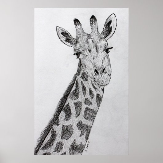 Giraffe Portrait Bleistift Sketch Zeichnend Kunstd Poster (Vorne)