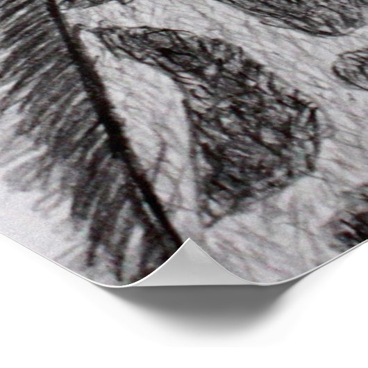 Giraffe Portrait Bleistift Sketch Zeichnend Kunstd Poster (Ecke)