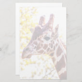 Giraffe Portrait Briefpapier (Vorne/Hinten)