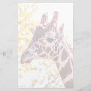 Giraffe Portrait Briefpapier