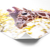 Giraffe Portrait Fotodruck (Ecke)