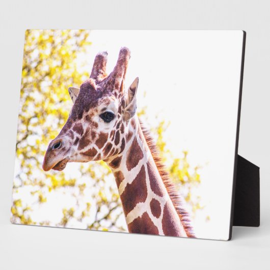 Giraffe Portrait Fotoplatte (Seite)