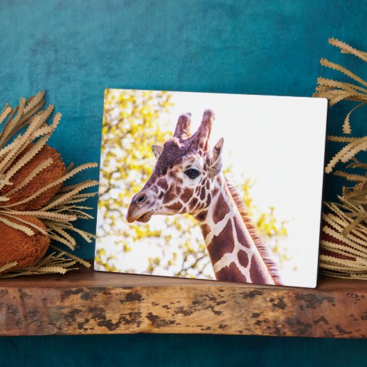 Giraffe Portrait Fotoplatte (Seite)