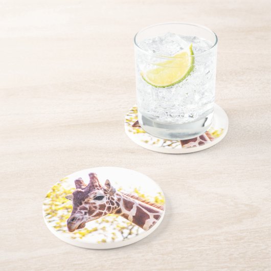 Giraffe Portrait Getränkeuntersetzer (Seite)