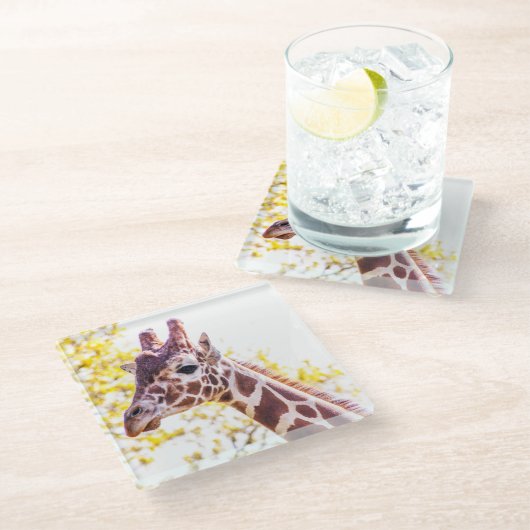 Giraffe Portrait Glasuntersetzer (Schrägansicht)