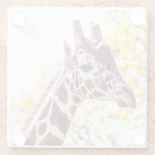 Giraffe Portrait Glasuntersetzer (Rückseite)