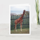 Giraffe Portrait Karte (Vorderseite)