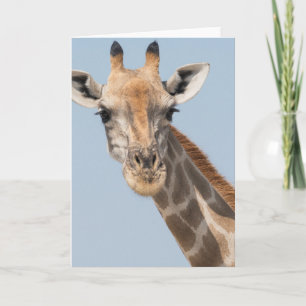 Giraffe-Portrait Karte