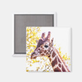 Giraffe Portrait Magnet (Vorderseite/Rückseite)