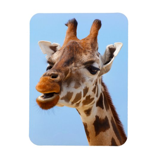 Giraffe Portrait-Magnet Magnet (Vertikal)