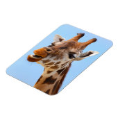 Giraffe Portrait-Magnet Magnet (Linke Seite)