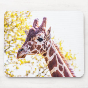 Giraffe Portrait Mousepad