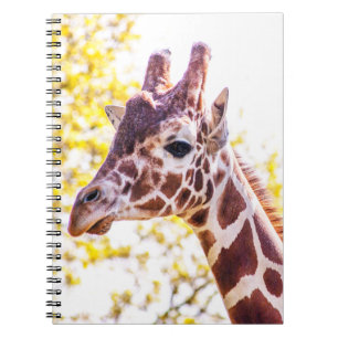 Giraffe Portrait Notizblock