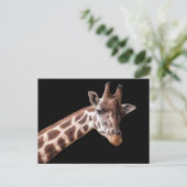 Giraffe Portrait - Postcard Postkarte (Stehend Vorderseite)