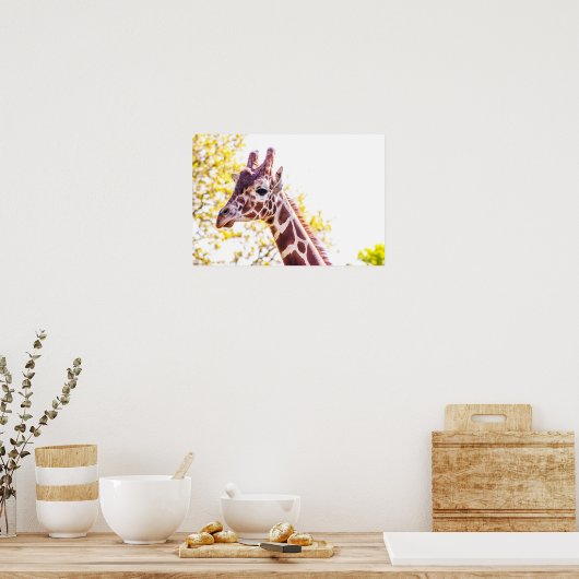 Giraffe Portrait Poster (Küche)