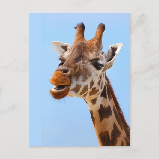 Giraffe Portrait-Postkarte Postkarte (Vorderseite)