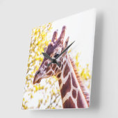 Giraffe Portrait Quadratische Wanduhr (Winkel)