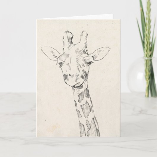 Giraffe Portrait | Sketch Karte (Vorderseite)