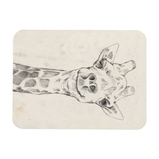 Giraffe Portrait Sketch Magnet (Horizontal)