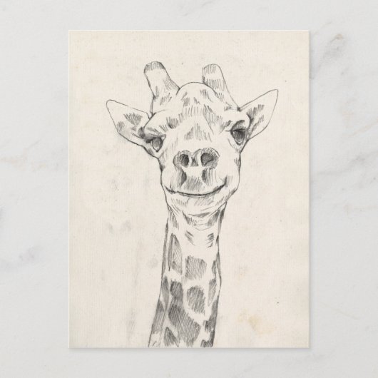 Giraffe Portrait Sketch Postkarte (Vorderseite)