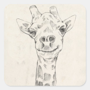 Giraffe Portrait Sketch Quadratischer Aufkleber