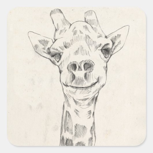 Giraffe Portrait Sketch Quadratischer Aufkleber (Vorderseite)