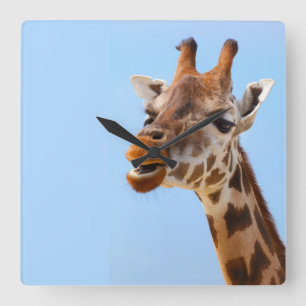 Giraffe Portrait-Wanduhr Quadratische Wanduhr