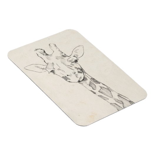 Giraffe Portrait | Zeichnung Magnet (Rechte Seite)