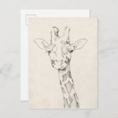 Giraffe Portrait | Zeichnung Postkarte (Vorne/Hinten)