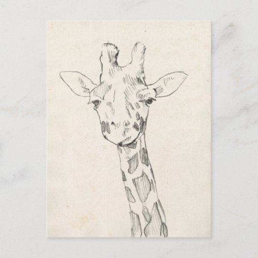 Giraffe Portrait | Zeichnung Postkarte (Vorderseite)